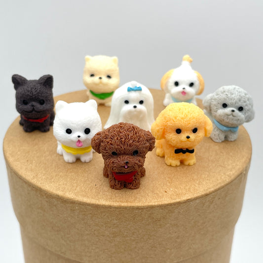 Miniature hunde