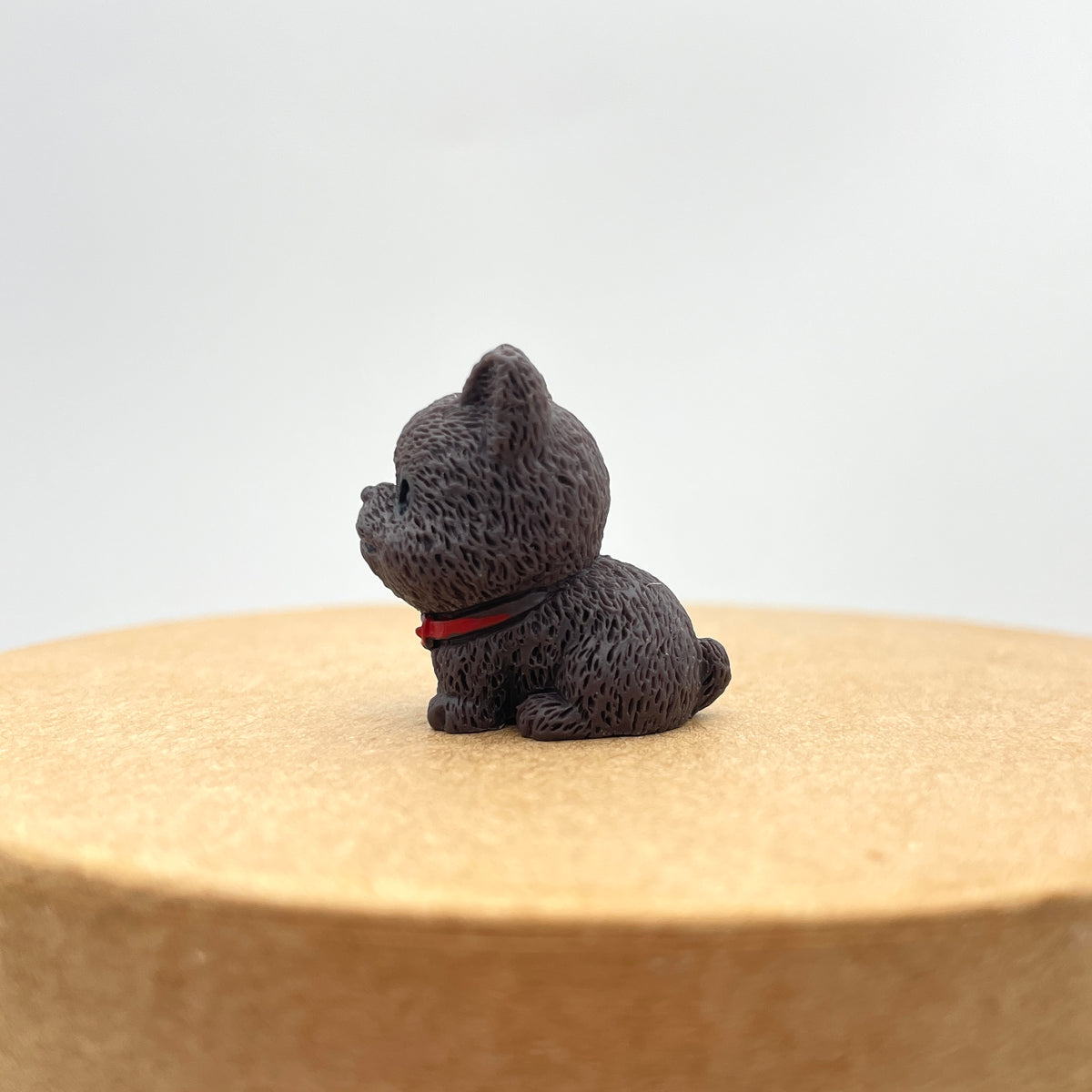 Miniature hunde