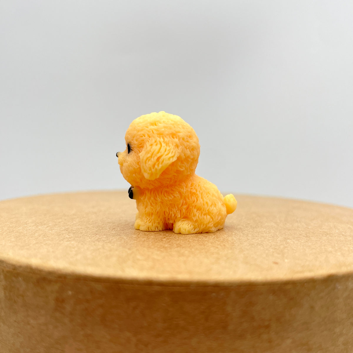 Miniature hunde