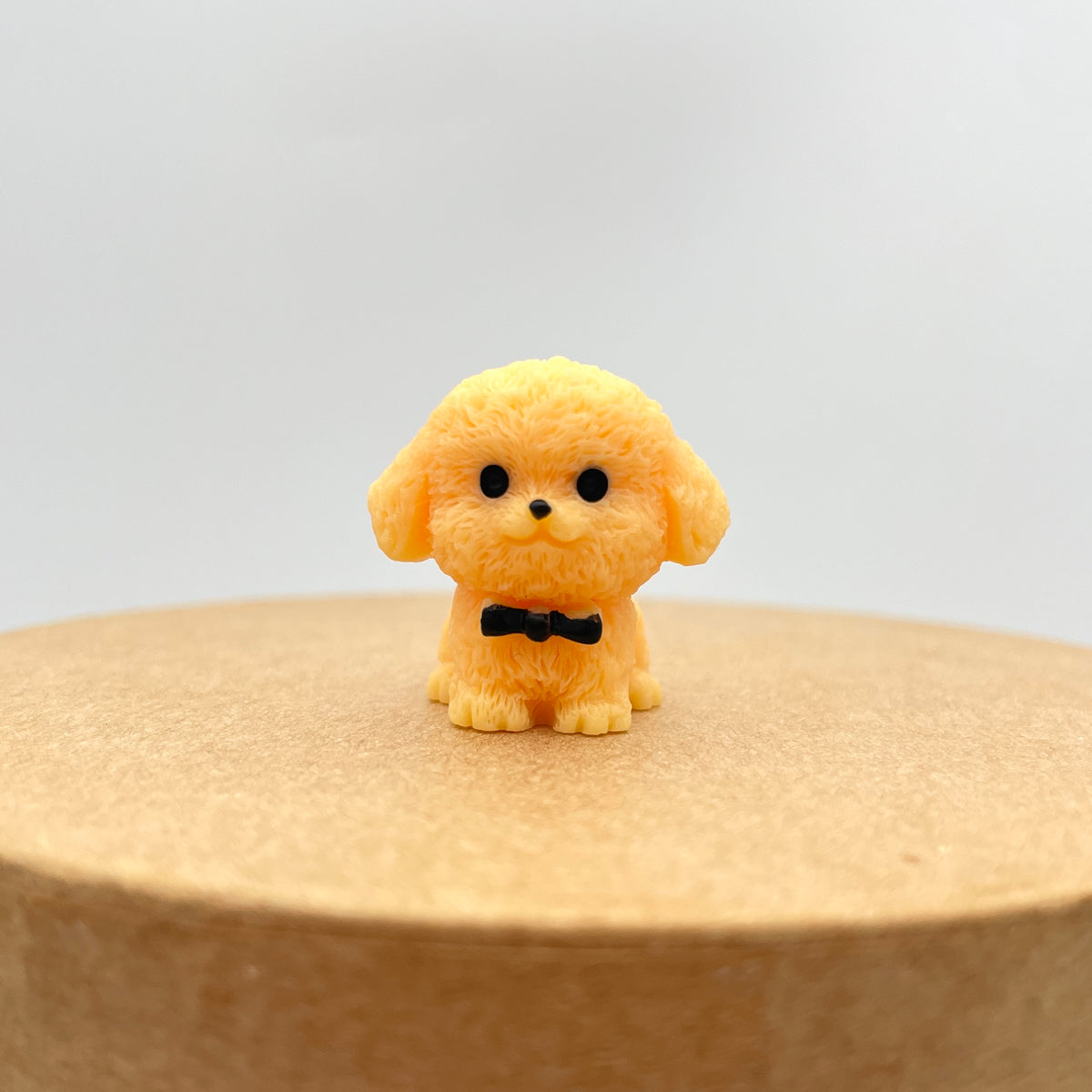 Miniature hunde