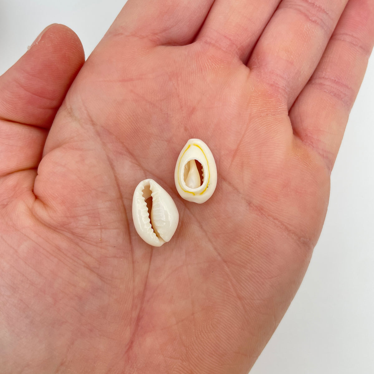 Ægte konkylie vedhæng/charm, ca 17 x 10 mm, til smykker – billede 3