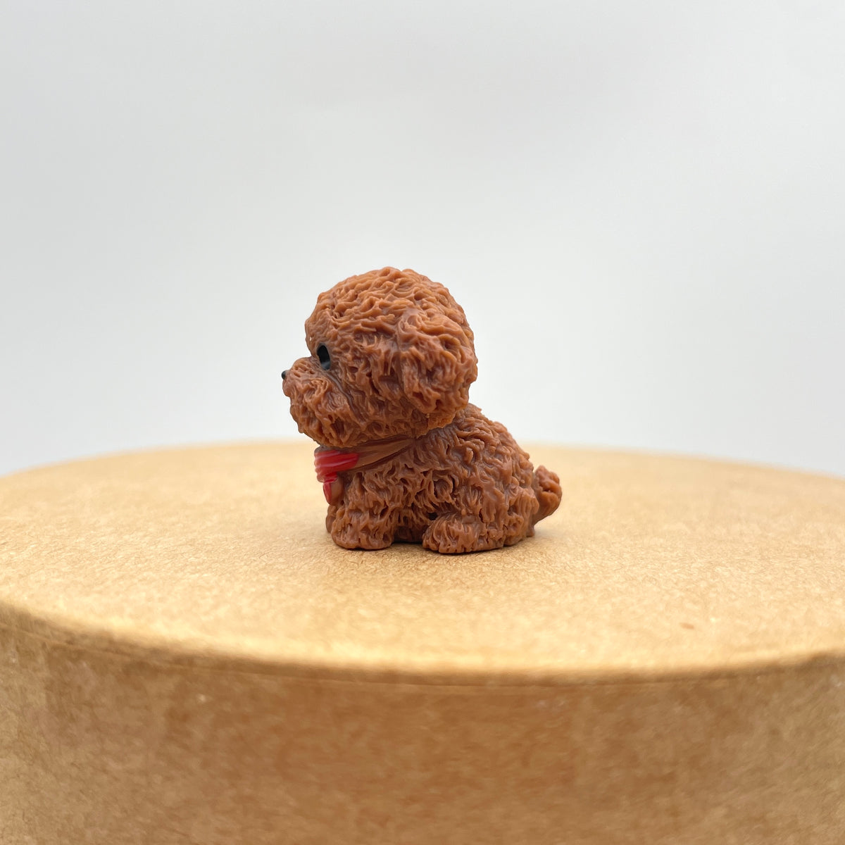 Miniature hunde