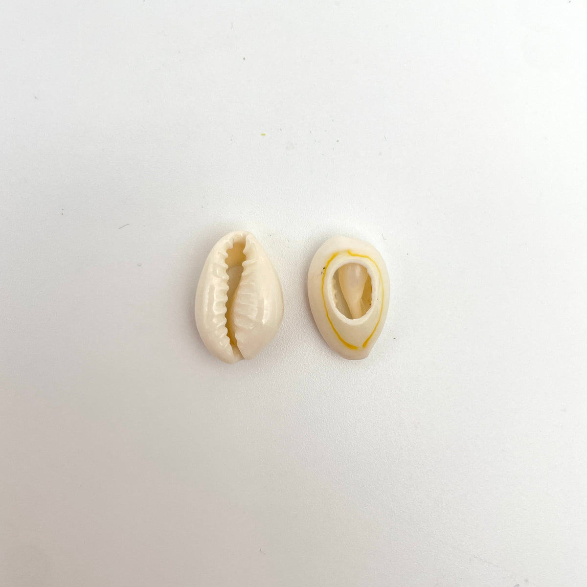 Ægte konkylie vedhæng/charm, ca 17 x 10 mm, til smykker – billede 4