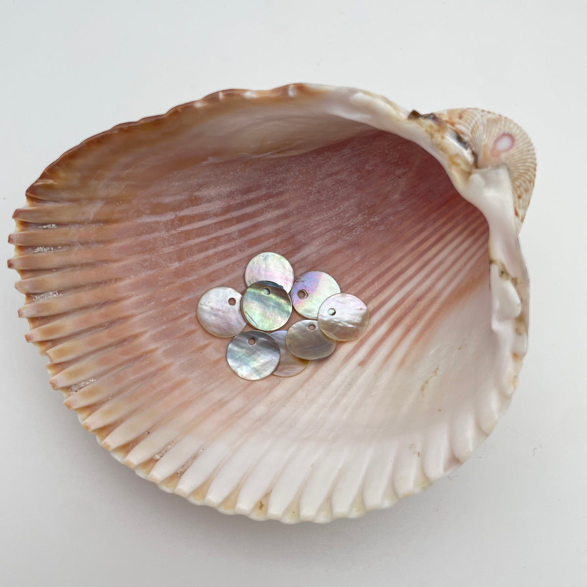Perlemorspaillet, vedhæng/charm, 11,5mm, til smykker