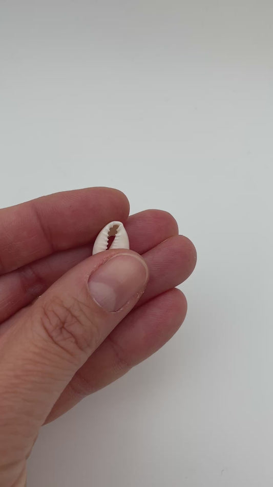 Ægte konkylie vedhæng/charm, ca 17 x 10 mm, til smykker